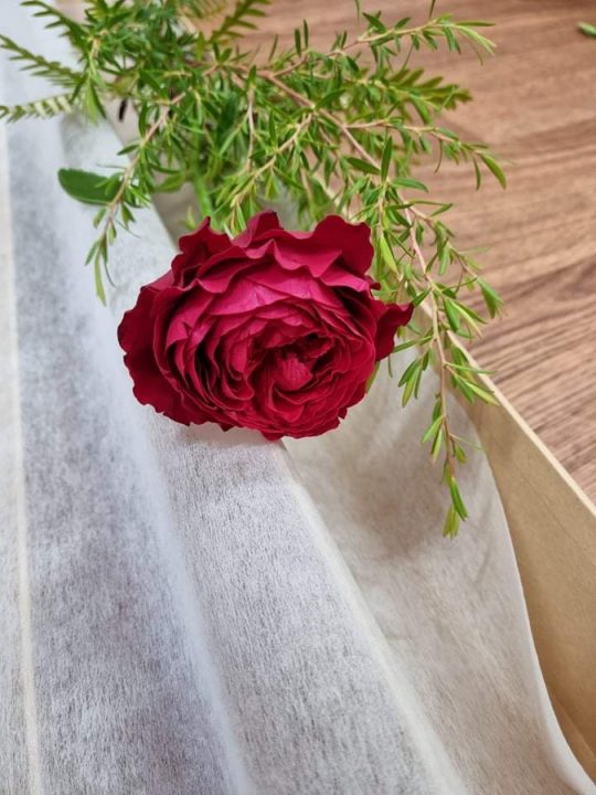 valentines day. red rose, single rose, rose box, tamworth florist, tamworth flower delivery, red rose delivery